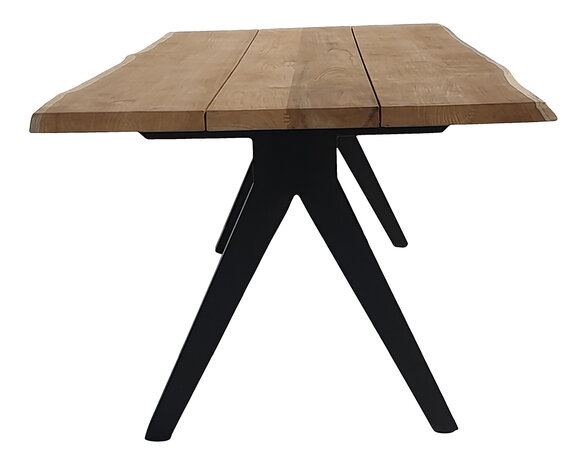 Traditional Teak NEO Table de jardin 300 x 100 cm